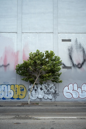 http://www.ickibod.com/files/gimgs/th-88_oakland_20200725L_22.jpg