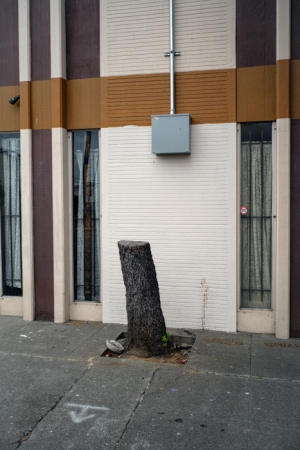 http://www.ickibod.com/files/gimgs/th-88_oakland_20200719L_045.jpg