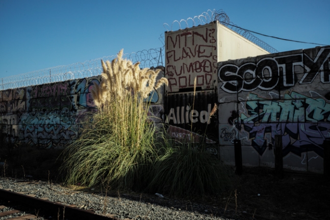 http://www.ickibod.com/files/gimgs/th-88_oakland_20201115L_076.jpg