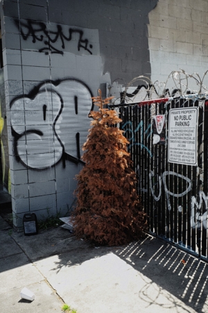http://www.ickibod.com/files/gimgs/th-88_oakland_20210419_046.jpg