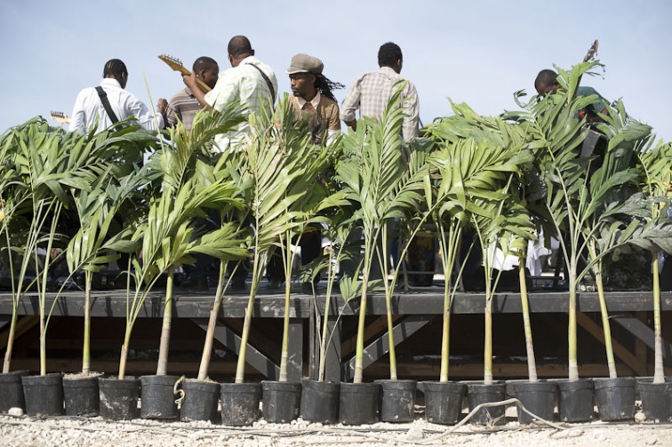 http://www.ickibod.com/files/gimgs/th-48_haiti_04.jpg